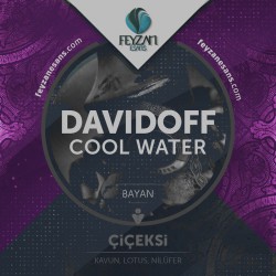 Davidoff Cool Water Bayan Kokusu Esansı
